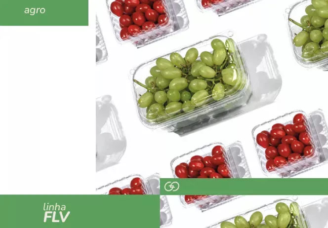 FLV